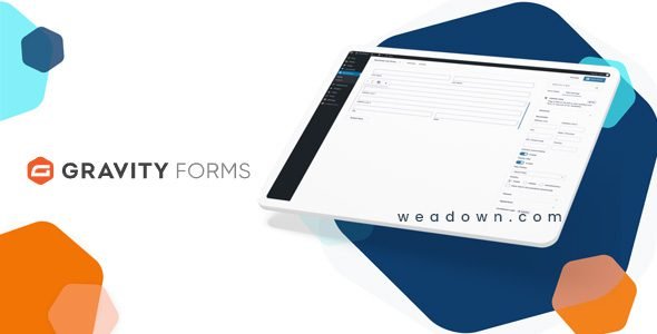 Gravity Forms 2.9.9.2 + Addons – WordPress Form Plugin