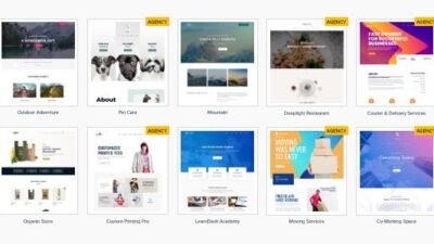 Astra Starter Templates Premium 4.4.24