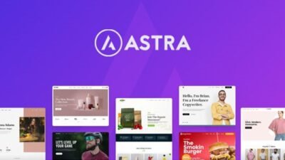 Astra Theme 4.11.2 + Portfolio 1.13.1 – Most Popular WordPress Theme