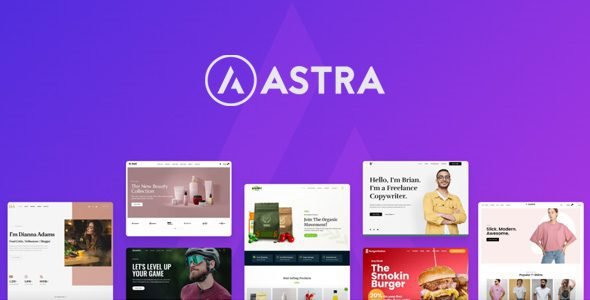 Astra Theme 4.11.2 + Portfolio 1.13.1 – Most Popular WordPress Theme