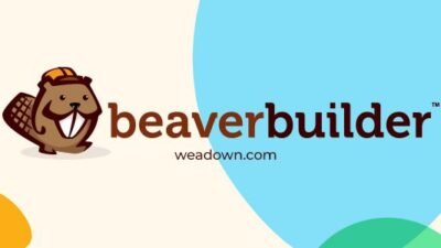 Beaver Builder Pro 2.9.1 + Themer 1.5.0.2 – WordPress Page Builder Plugin