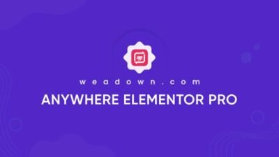 AnyWhere Elementor Pro 2.29