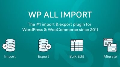 WP All Import – ACF Add-On 3.4.0