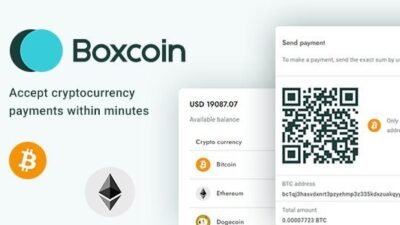 Boxcoin 1.2.8 – Crypto Payment Script