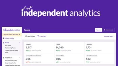 Independent Analytics Pro 2.11.6 – Google Analytics Alternative for WordPress