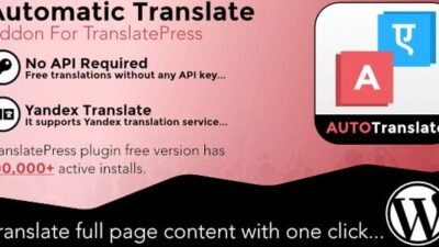 Automatic Translate Addon For TranslatePress Pro 1.3