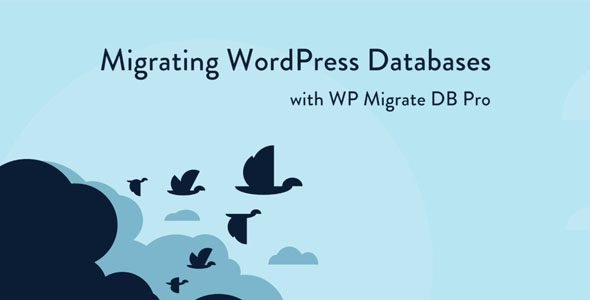 WP Migrate DB Pro 2.7.4 – Migrating WordPress Databases