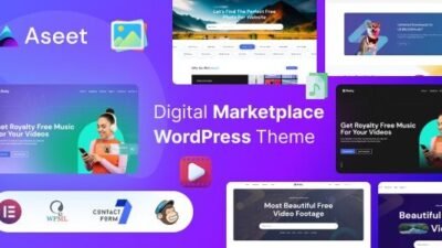Aseet 1.0 – Digital Marketplace WordPress Theme