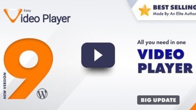 Easy Video Player WordPress Plugin 9.2