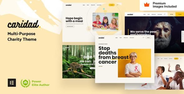 Caridad 23.0 – Charity WordPress Theme