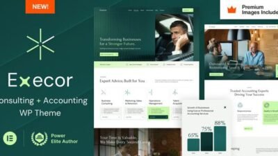 Execor 8.0 – Accounting and Management Consulting WordPress Theme