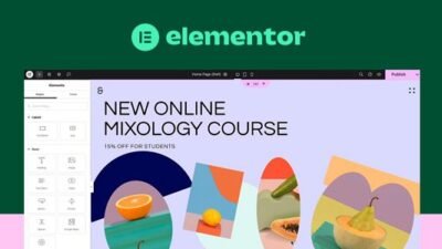 Elementor Pro 3.30.0 Beta – WordPress Page Builder Plugin