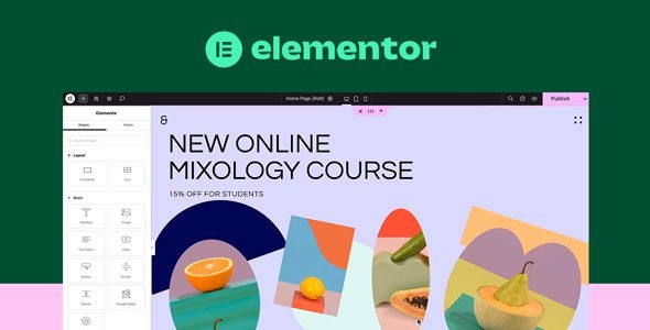 Elementor Pro 3.30.0 Beta – WordPress Page Builder Plugin