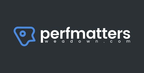 Perfmatters 2.4.6 – Lightweight WordPress Performance Plugin