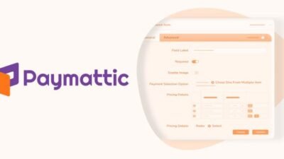 Paymattic Pro 4.6.7 – WordPress Payment and Donation Plugin