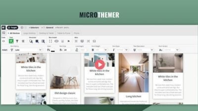 Microthemer 7.4.1.6 – WordPress CSS Editor for Page Speed