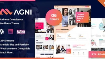 Agni 1.1.8 – Consulting Business WordPress Theme