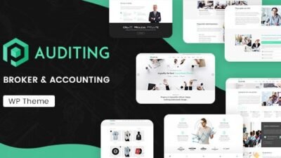 Auditing 3.3 – Accounting Consultant, Finance WordPress Theme