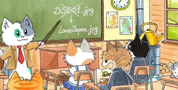 Media File Renamer Pro 6.0.9