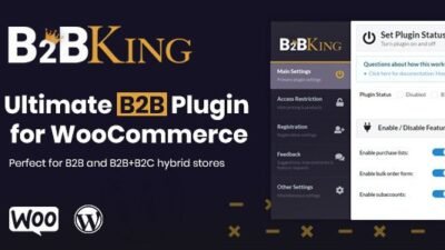 B2BKing 5.3.80 – The Ultimate WooCommerce B2B & Wholesale Plugin
