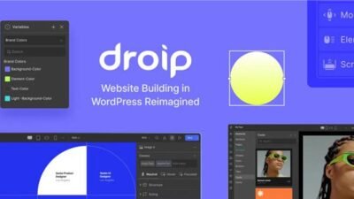 Droip 2.2.6 – No-Code WordPress Site Builder