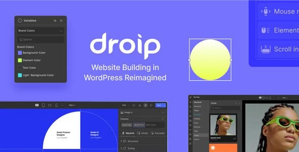 Droip 2.2.6 – No-Code WordPress Site Builder