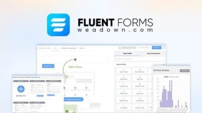 Fluent Forms Pro Add-On 6.1.2 + Signature