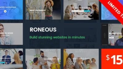 Roneous 2.1.4 – Creative Multi-Purpose WordPress Theme