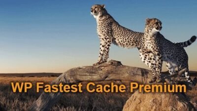 WP Fastest Cache Premium 1.7.4 – WordPress Plugin