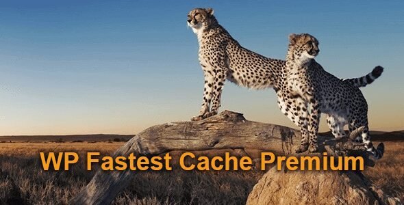 WP Fastest Cache Premium 1.7.4 – WordPress Plugin