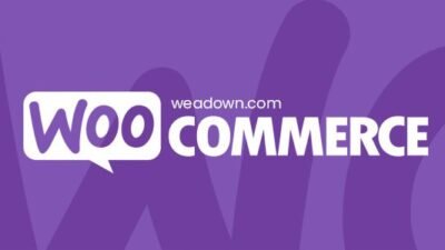 Woocommerce Sale Flash Pro 1.3.2