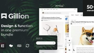 Gillion 4.14 – Multi-Concept Blog/Magazine & Shop WordPress AMP Theme